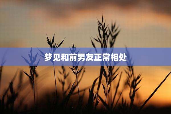 梦见和前男友正常相处