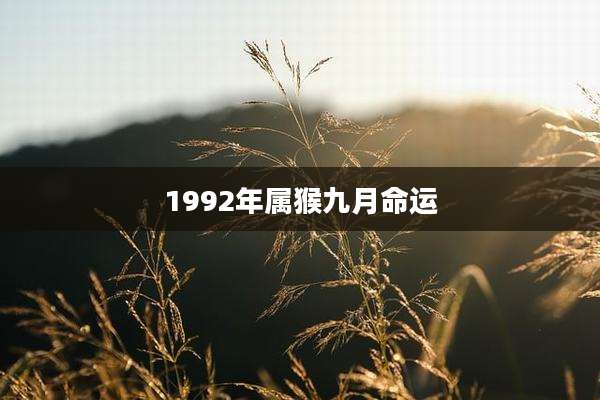1992年属猴九月命运