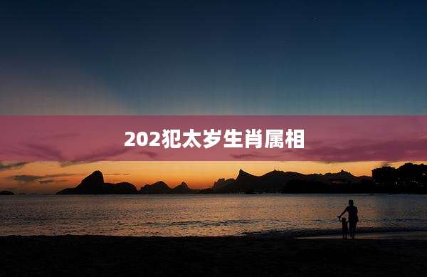 202犯太岁生肖属相