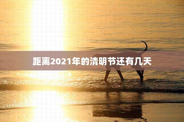 距离2021年的清明节还有几天