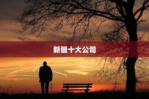 新疆十大公司
