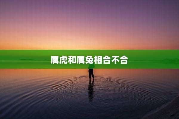 属虎和属兔相合不合