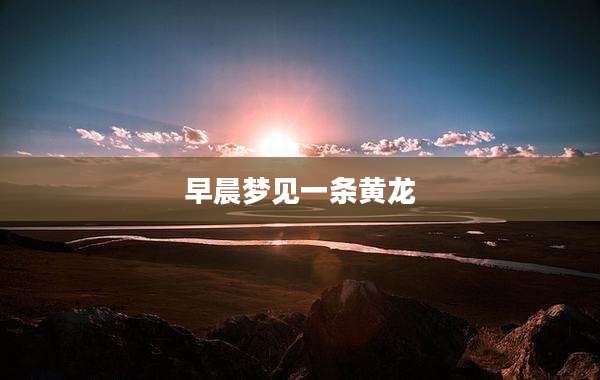 早晨梦见一条黄龙