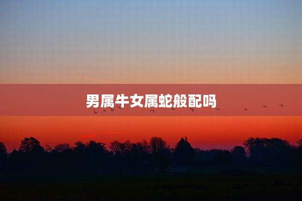 男属牛女属蛇般配吗