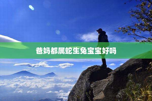 爸妈都属蛇生兔宝宝好吗
