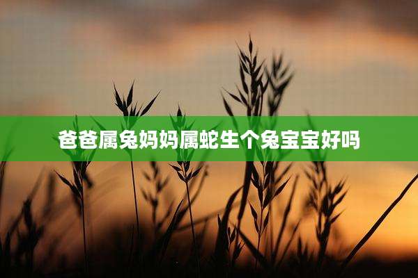 爸爸属兔妈妈属蛇生个兔宝宝好吗