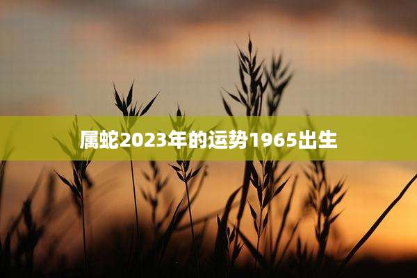 属蛇2023年的运势1965出生