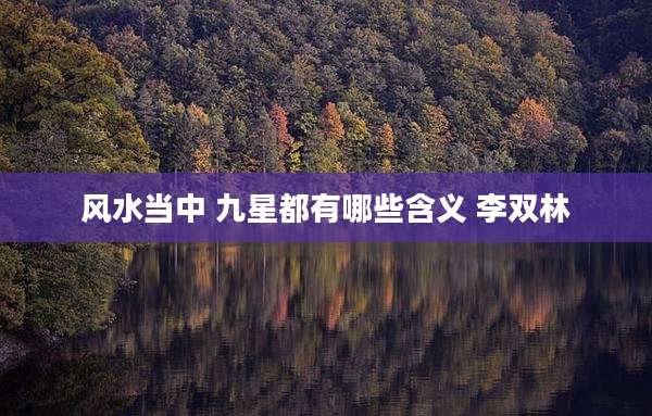 风水当中 九星都有哪些含义 李双林