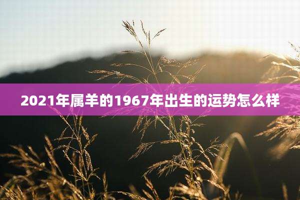2021年属羊的1967年出生的运势怎么样