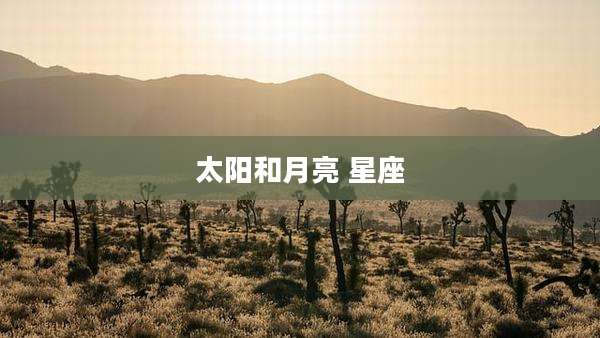 太阳和月亮 星座
