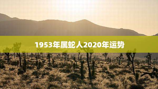 1953年属蛇人2020年运势