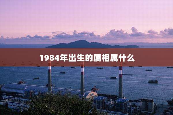 1984年出生的属相属什么