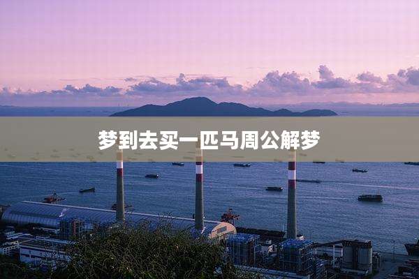 梦到去买一匹马周公解梦