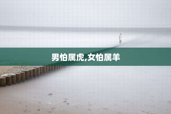 男怕属虎,女怕属羊