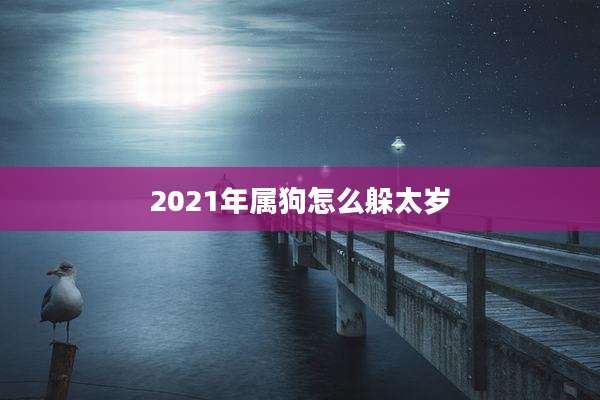 2021年属狗怎么躲太岁