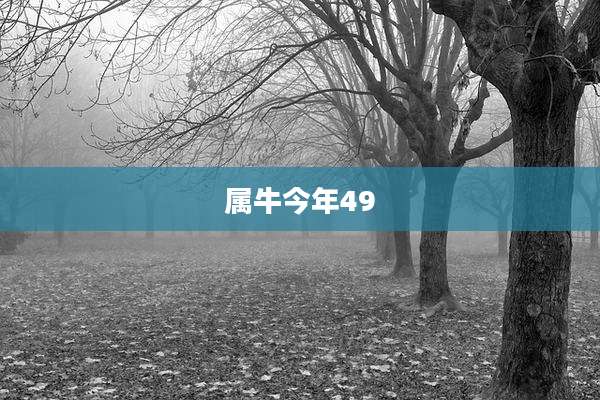 属牛今年49