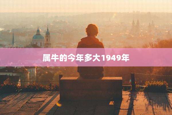 属牛的今年多大1949年