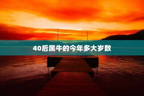 40后属牛的今年多大岁数