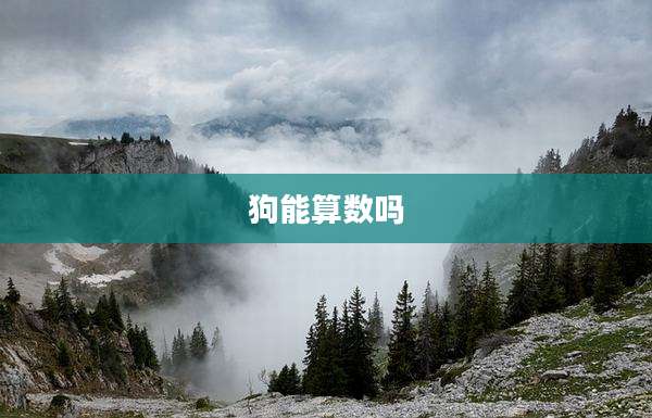 狗能算数吗