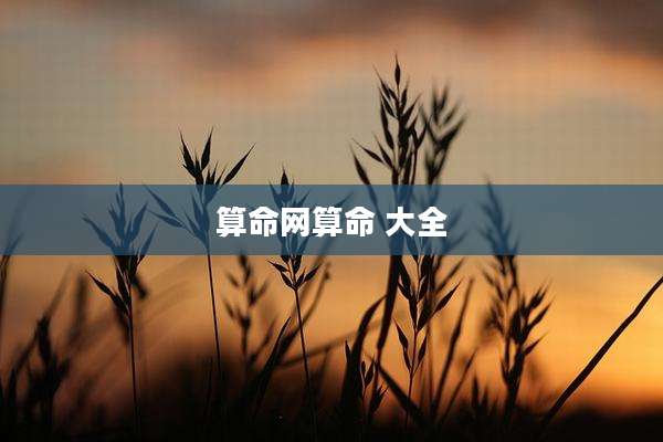 算命网算命 大全