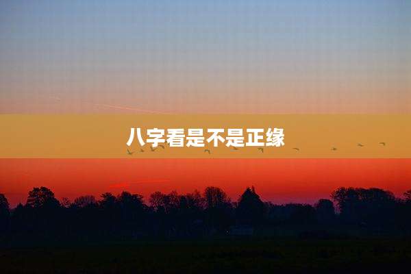 八字看是不是正缘