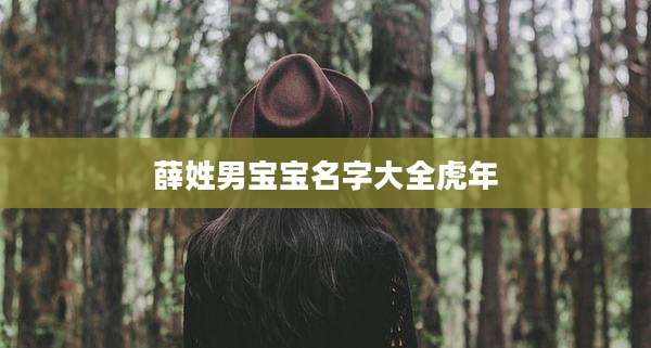 薛姓男宝宝名字大全虎年