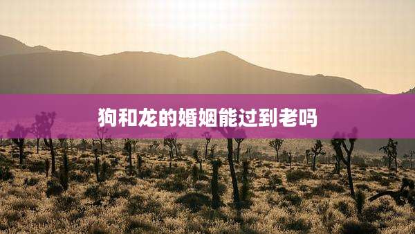 狗和龙的婚姻能过到老吗