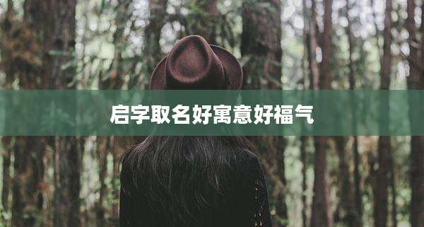 启字取名好寓意好福气