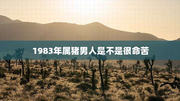 1983年属猪男人是不是很命苦