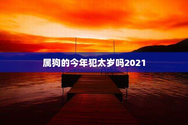 属狗的今年犯太岁吗2021