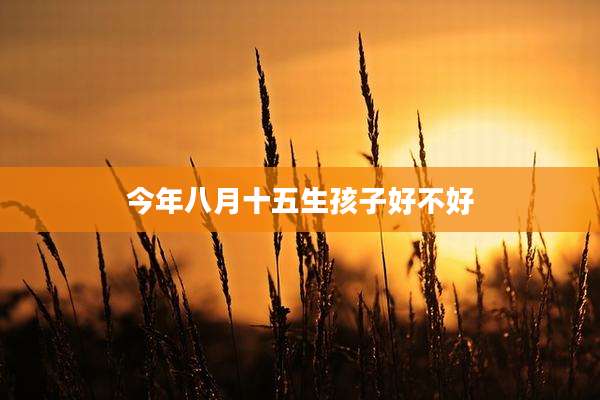 今年八月十五生孩子好不好
