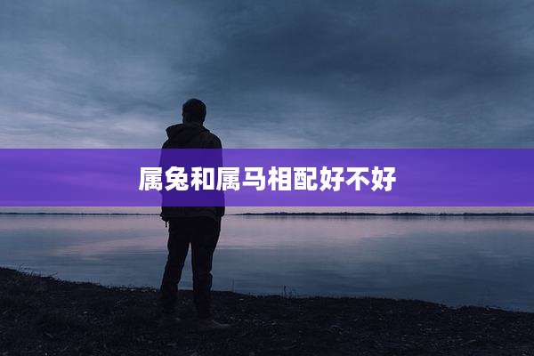 属兔和属马相配好不好