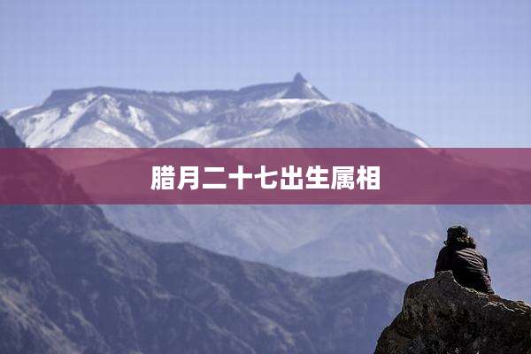 腊月二十七出生属相