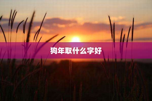 狗年取什么字好