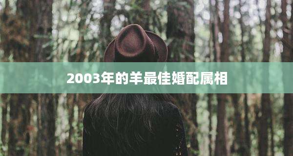2003年的羊最佳婚配属相