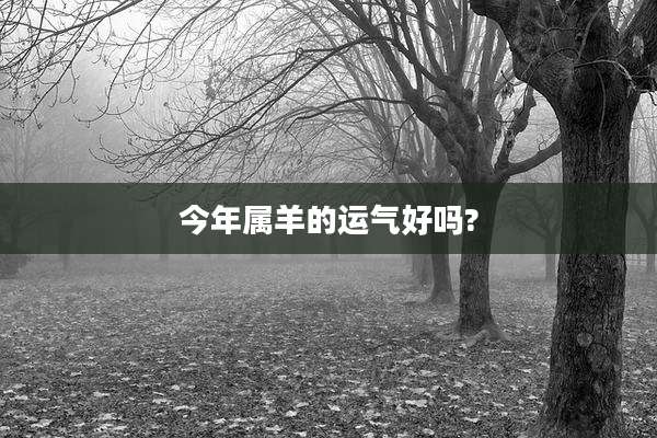 今年属羊的运气好吗?