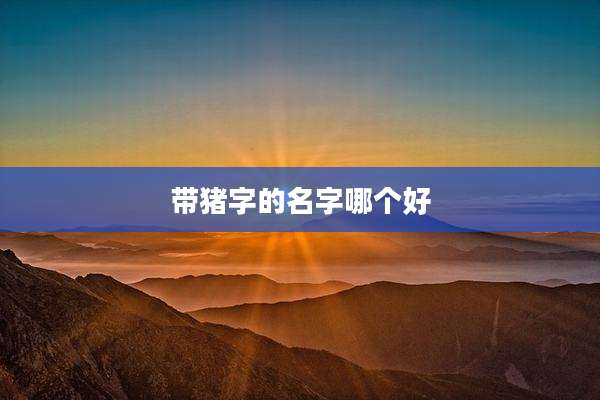 带猪字的名字哪个好