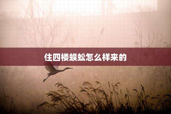 住四楼蜈蚣怎么样来的