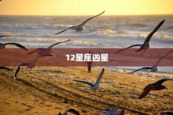 12星座凶星