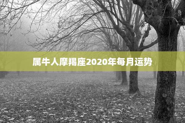 属牛人摩羯座2020年每月运势