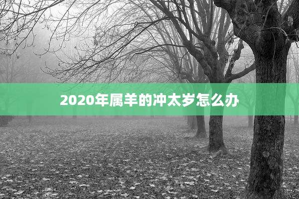 2020年属羊的冲太岁怎么办