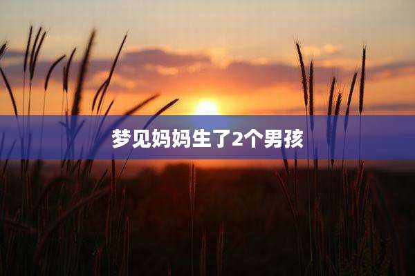 梦见妈妈生了2个男孩