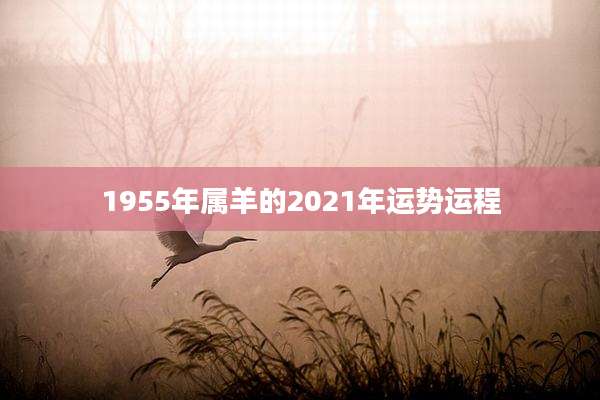 1955年属羊的2021年运势运程