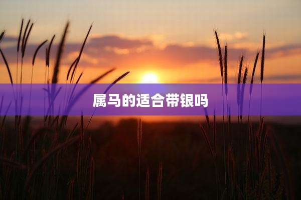 属马的适合带银吗