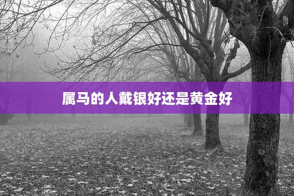 属马的人戴银好还是黄金好