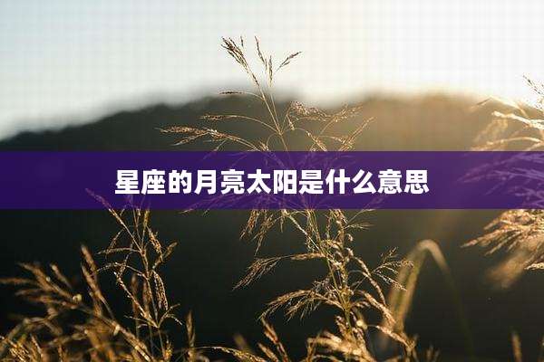 星座的月亮太阳是什么意思