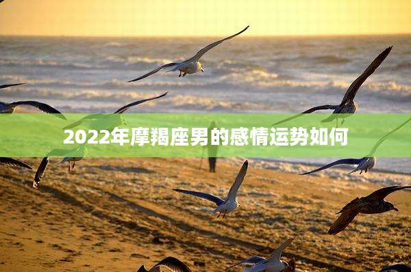 2022年摩羯座男的感情运势如何