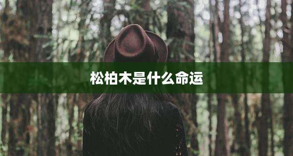 松柏木是什么命运