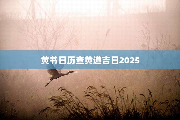 黄书日历查黄道吉日2025