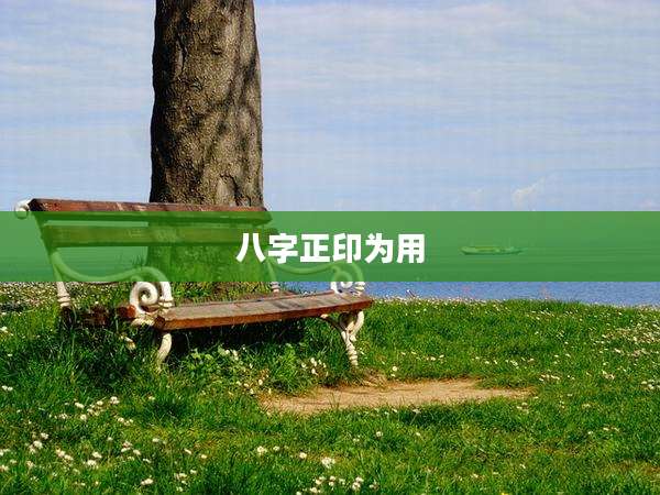 八字正印为用